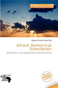 Direct Numerical Simulation