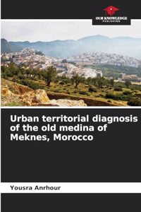 Urban territorial diagnosis of the old medina of Meknes, Morocco