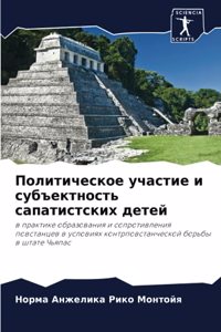 Политическое участие и субъектность сап