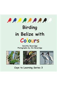 Birding in Belize with Colours