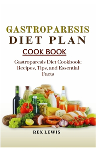 Gastroparesis Diet Plan Cook Book