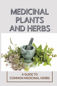 Medicinal Plants And Herbs