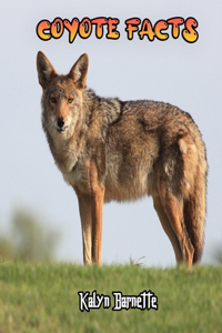 Coyote Facts