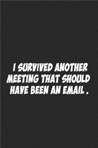 I Survived Another Meeting That Should Have Been An Email.