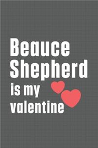 Beauce Shepherd is my valentine