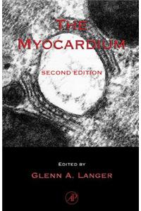 The Myocardium