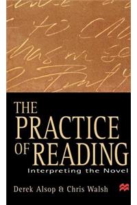 The Practice of Reading: Interpreting the Novel
