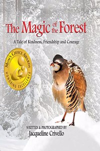 The Magic of the Forest