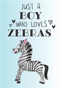 Just A Boy Who Loves Zebras