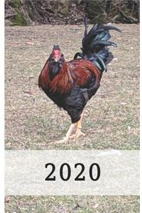 2020