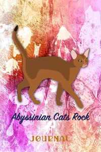 Abyssinian Cats Rock