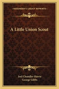 A Little Union Scout