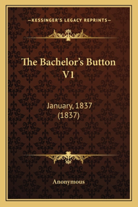 Bachelor's Button V1