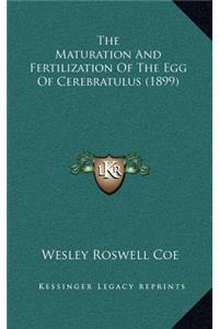 The Maturation And Fertilization Of The Egg Of Cerebratulus (1899)