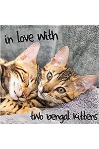 In Love with 2 Bengal Kittens 2017