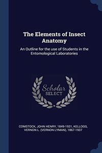 THE ELEMENTS OF INSECT ANATOMY: AN OUTLI