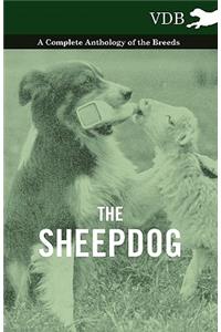 The Sheepdog - A Complete Anthology of the Breeds