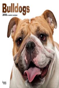 2018 Bulldogs Wall Calendar