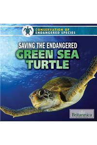 Saving the Endangered Green Sea Turtle