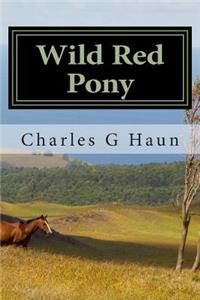 Wild Red Pony