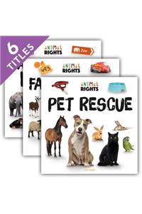 Animal Rights