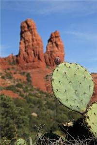 Red Rock Formations near Sedona Arizona Journal