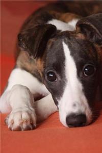 A Whippet Puppy Dog Journal