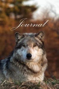 200 Page Wolf Journal: Wolves of Wolf Park (Wotan)