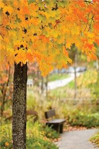 Journal Autumn Scene