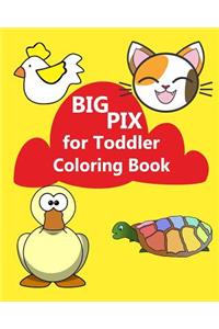 Big Pix for Toddler Coloring Book