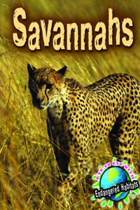 Savannahs