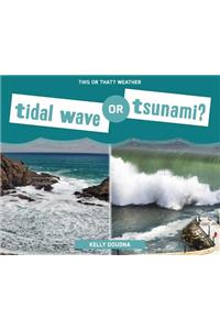 Tidal Wave or Tsunami?