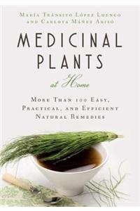 Medicinal Plants at Home