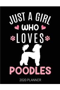 Just A Girl Who Loves Poodles 2020 Planner