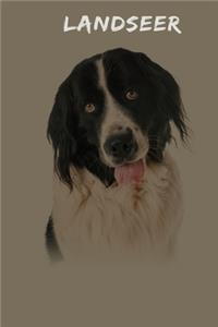 Landseer