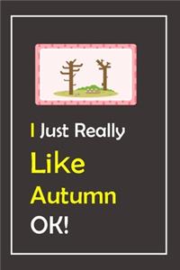 I Just Really Like Autumn, OK !