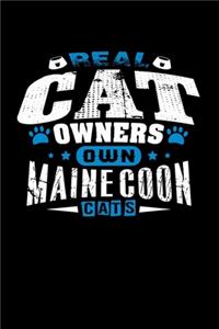 Real Cat Owners Own Maine Coon Cats