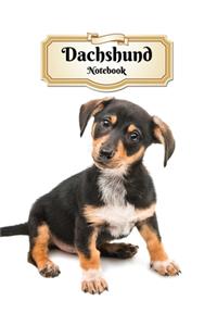 Dachshund Notebook