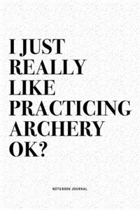 I Just Really Like Practicing Archery Ok?