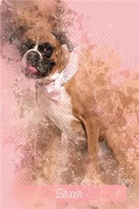 Boxer