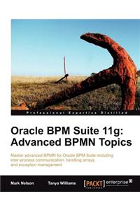 Oracle Bpm Suite 11g