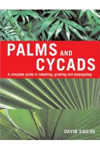 Palms and Cycads