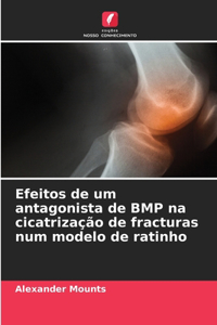 Efeitos de um antagonista de BMP na cicatrização de fracturas num modelo de ratinho