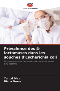 Prévalence des β-lactamases dans les souches d'Escherichia coli
