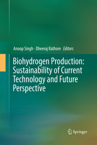 Biohydrogen Production: Sustainability of Current Technology and Future Perspective