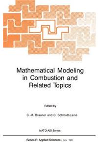 Mathematical Modeling in Combustion and Related Topics