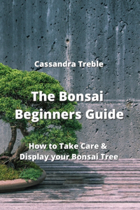 Bonsai Beginners Guide