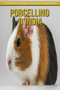 Porcellino D'India - Fatti interessanti per i bambini su questi animali incredibili e potenti