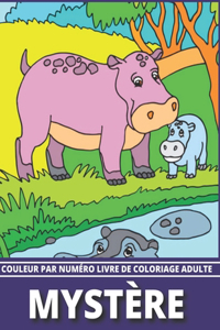 Mystère Couleur Par Numéro Livre De Coloriage Adulte