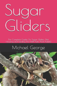 Sugar Gliders